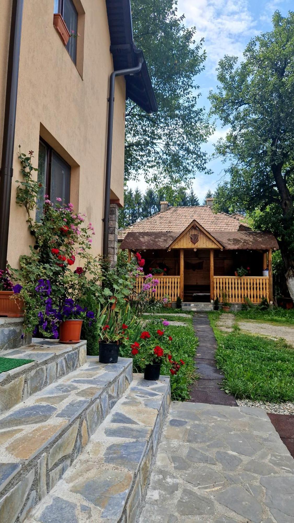 Bauernhof Casa Dorina Bran (Brasov)