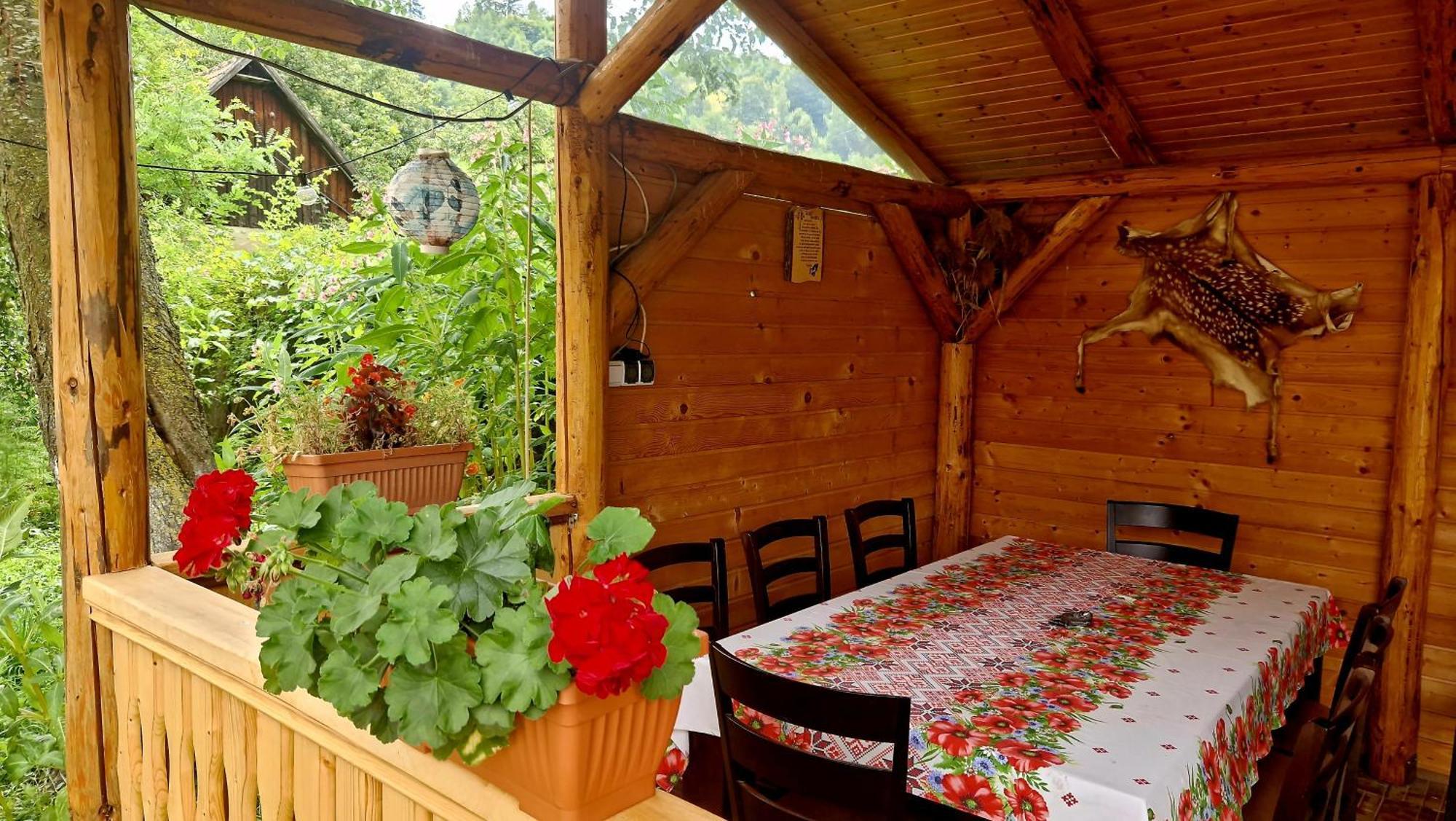 Casa Dorina Bran (Brasov)